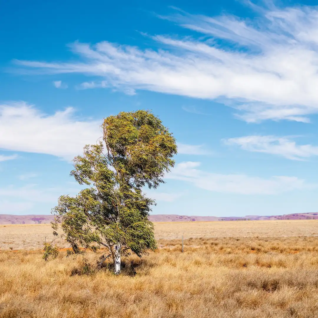 Mineral Resources Image